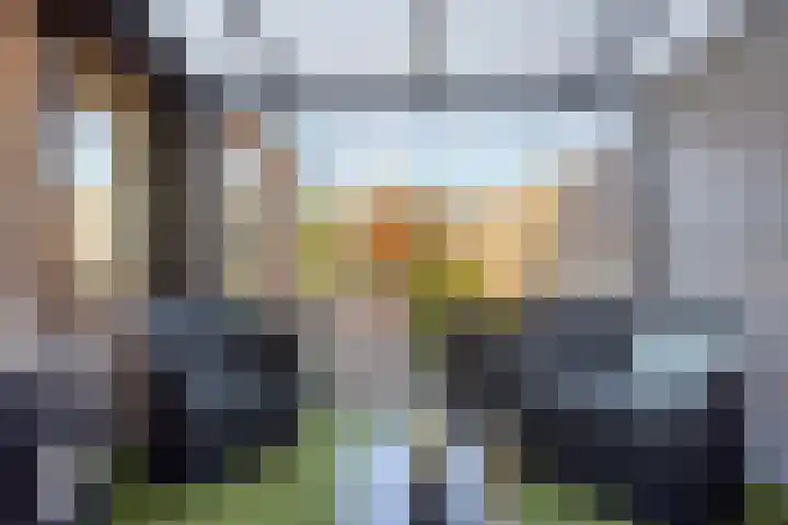 Tuinstraat 11 Nederhemert thumbnail 30