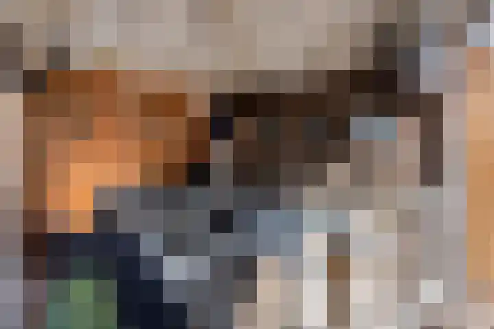 Tuinstraat 11 Nederhemert thumbnail 33