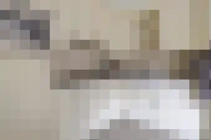 Tuinstraat 11 Nieuwerkerk thumbnail 16