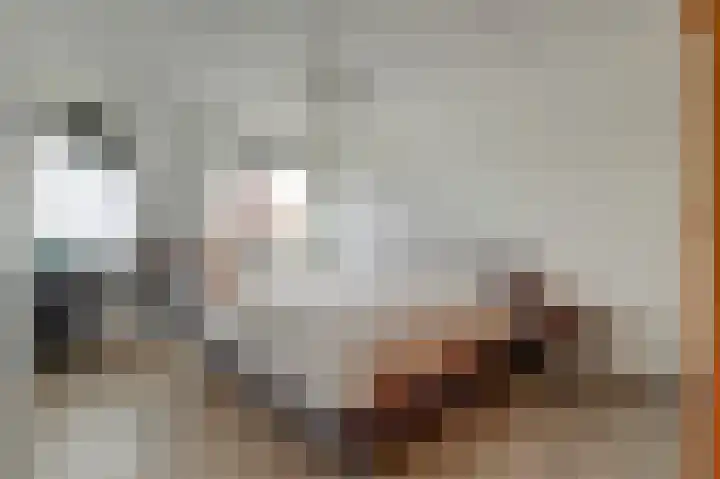 Tuinstraat 11 Nieuwerkerk thumbnail 19