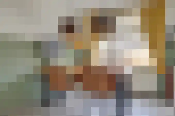 Tuinstraat 11 Nieuwerkerk thumbnail 4