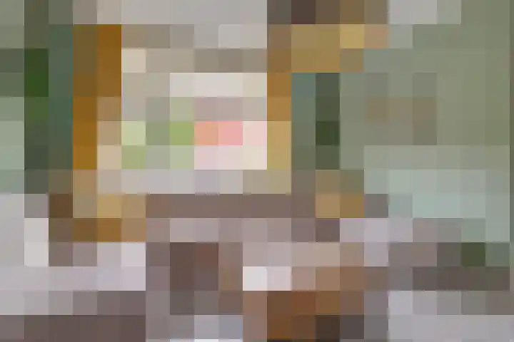 Tuinstraat 11 Nieuwerkerk thumbnail 7