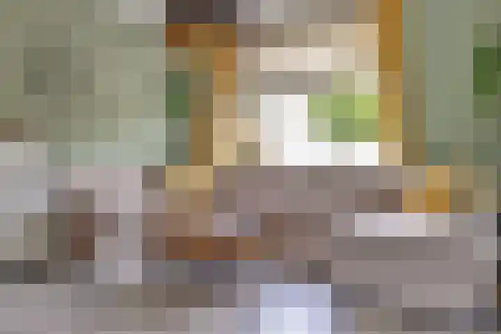 Tuinstraat 11 Nieuwerkerk thumbnail 8