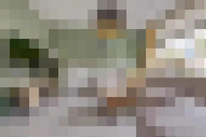 Tuinstraat 11 Nieuwerkerk thumbnail 9