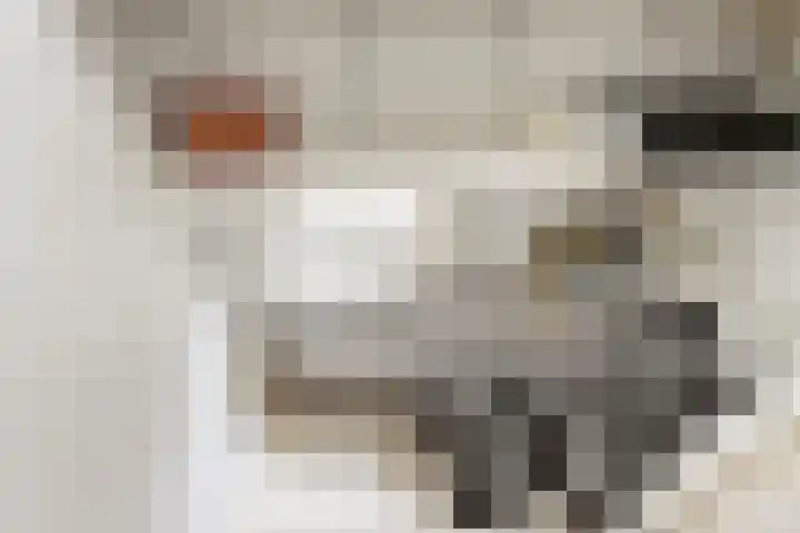 Tuinstraat 11 Veen thumbnail 10