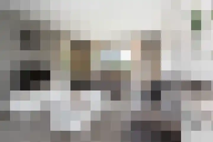 Tuinstraat 11 Veen thumbnail 12