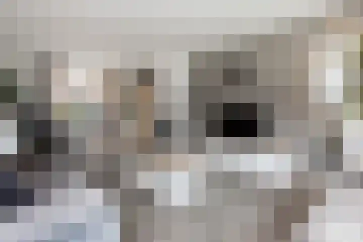 Tuinstraat 11 Veen thumbnail 13