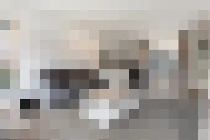 Tuinstraat 11 Veen thumbnail 16