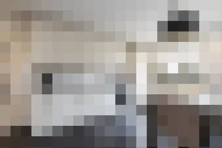 Tuinstraat 11 Veen thumbnail 17