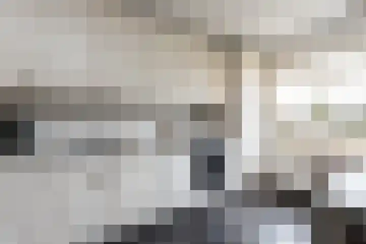 Tuinstraat 11 Veen thumbnail 18