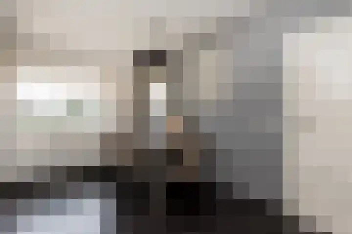 Tuinstraat 11 Veen thumbnail 22