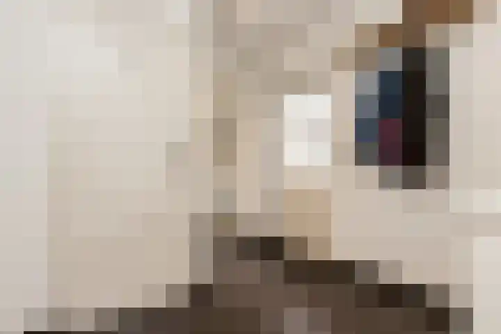 Tuinstraat 11 Veen thumbnail 26