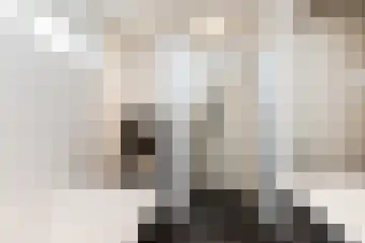 Tuinstraat 11 Veen thumbnail 30