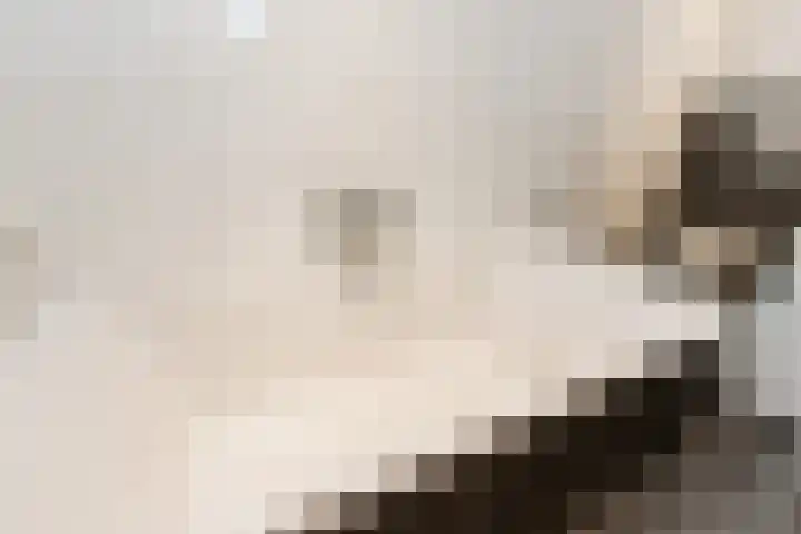 Tuinstraat 11 Veen thumbnail 32