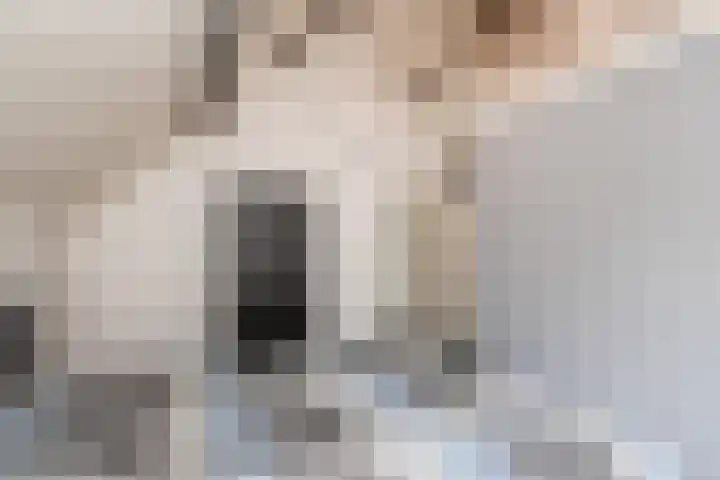 Tuinstraat 11 Veen thumbnail 43