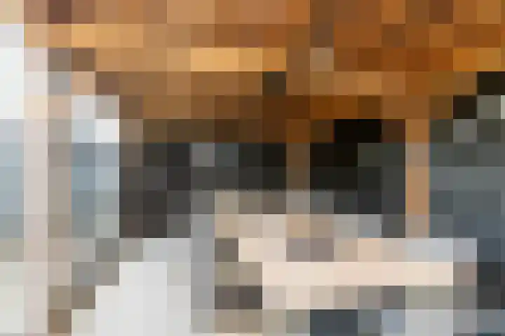 Tuinstraat 11 Veen thumbnail 48