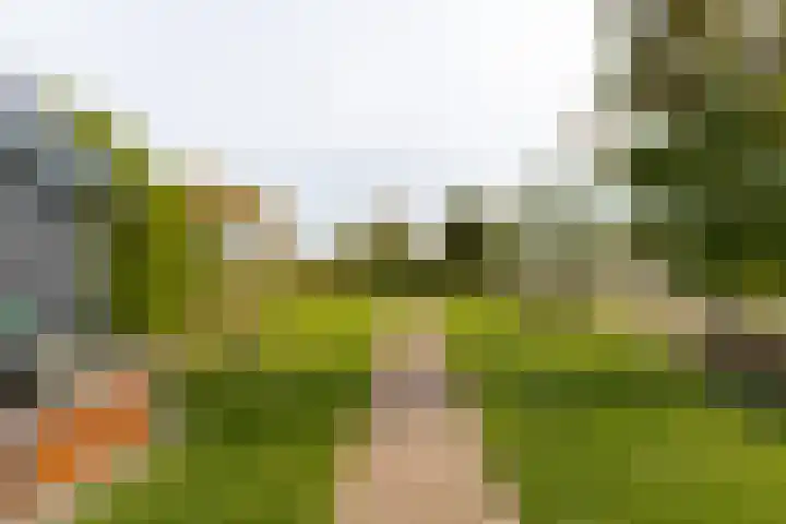 Tuinstraat 11 Veen thumbnail 56