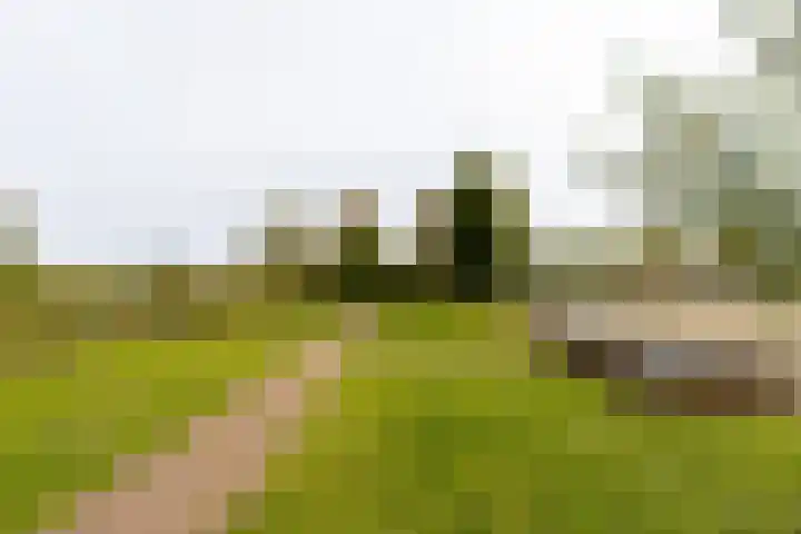 Tuinstraat 11 Veen thumbnail 57