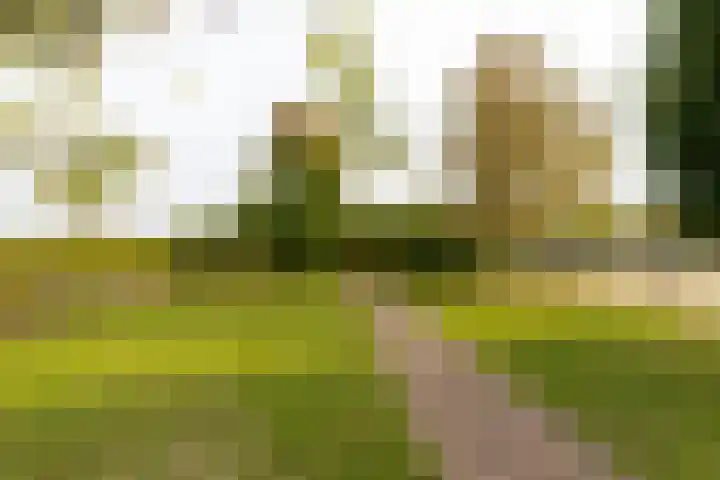 Tuinstraat 11 Veen thumbnail 58