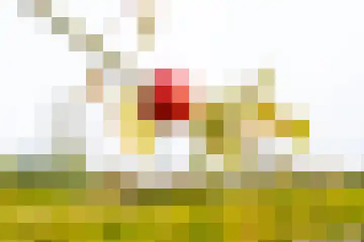 Tuinstraat 11 Veen thumbnail 59