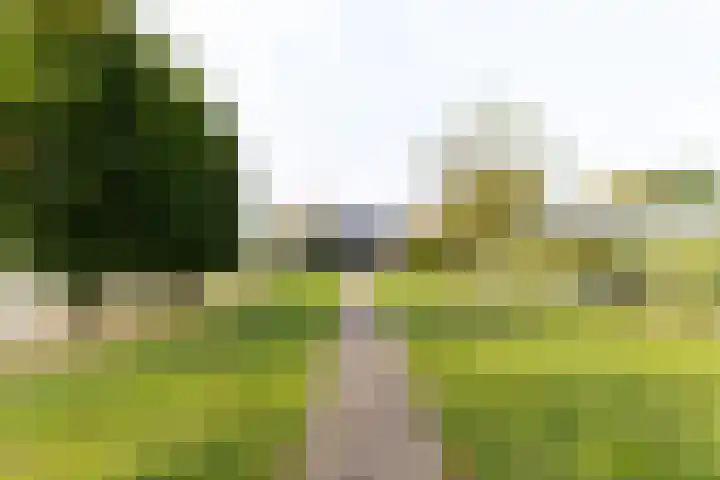 Tuinstraat 11 Veen thumbnail 60