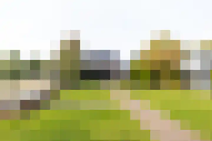 Tuinstraat 11 Veen thumbnail 62