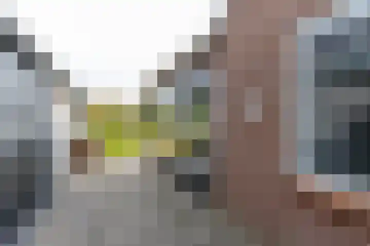 Tuinstraat 11 Veen thumbnail 65