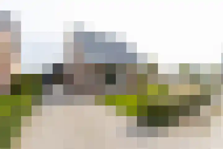 Tuinstraat 11 Veen thumbnail 68