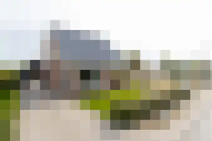 Tuinstraat 11 Veen thumbnail 69