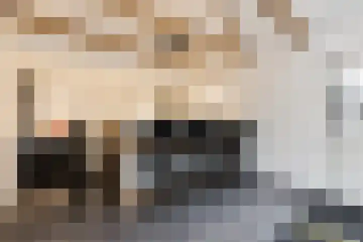 Tuinstraat 11 Veen thumbnail 7