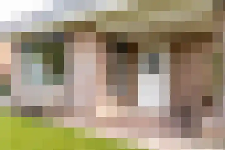 Tuinstraat 11 Veen thumbnail 74