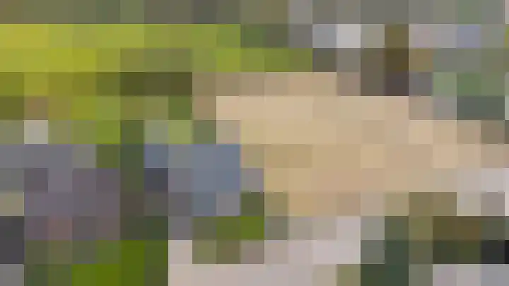 Tuinstraat 11 Veen thumbnail 78