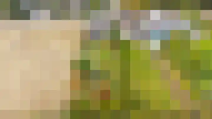 Tuinstraat 11 Veen thumbnail 81