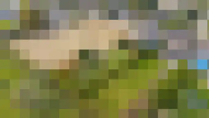 Tuinstraat 11 Veen thumbnail 83