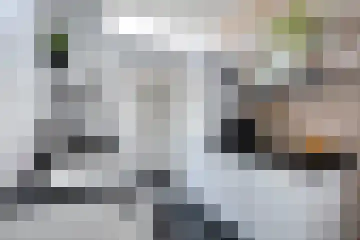 Tuinstraat 111 Boskoop thumbnail 10