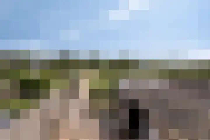 Tuinstraat 111 Boskoop thumbnail 17
