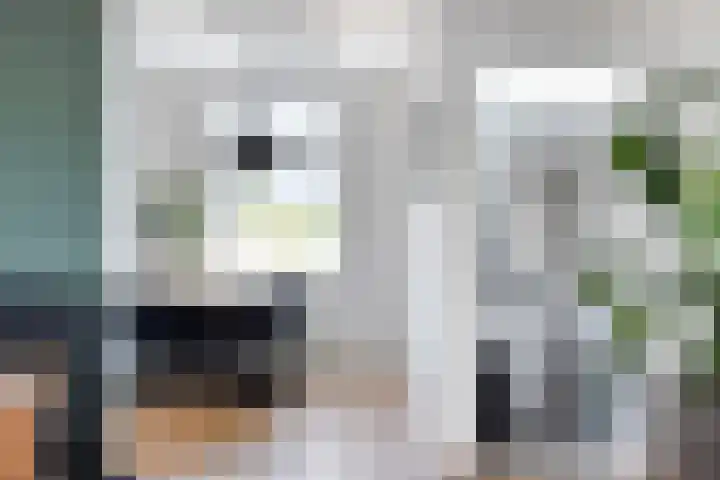 Tuinstraat 111 Boskoop thumbnail 7