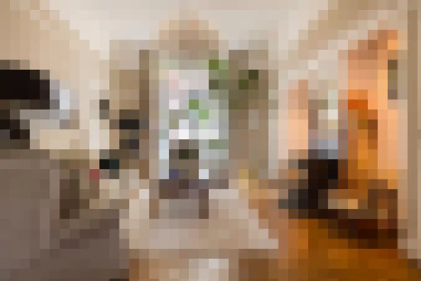 Tuinstraat 112 Tilburg thumbnail 10