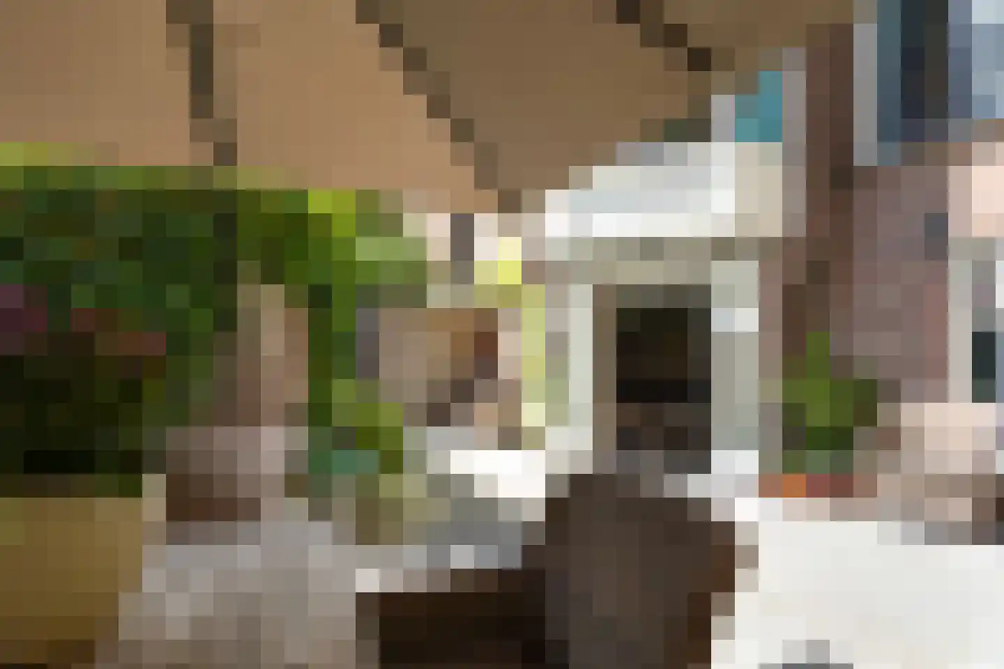 Tuinstraat 112 Tilburg thumbnail 27
