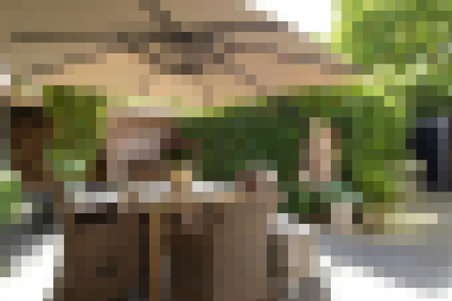 Tuinstraat 112 Tilburg thumbnail 28