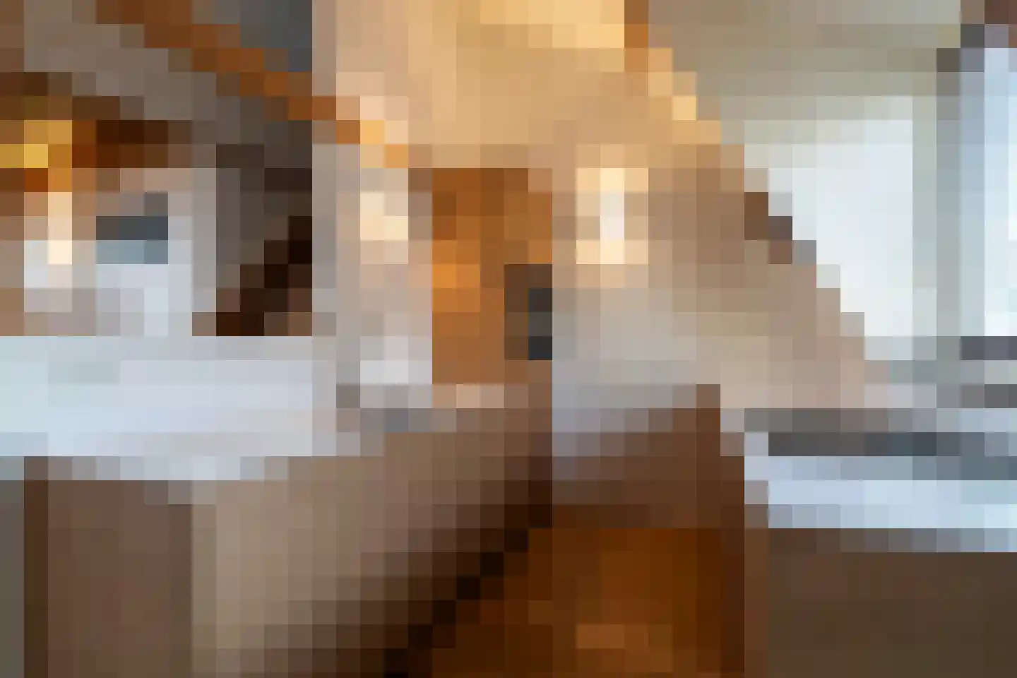 Tuinstraat 114 d Tilburg thumbnail 11