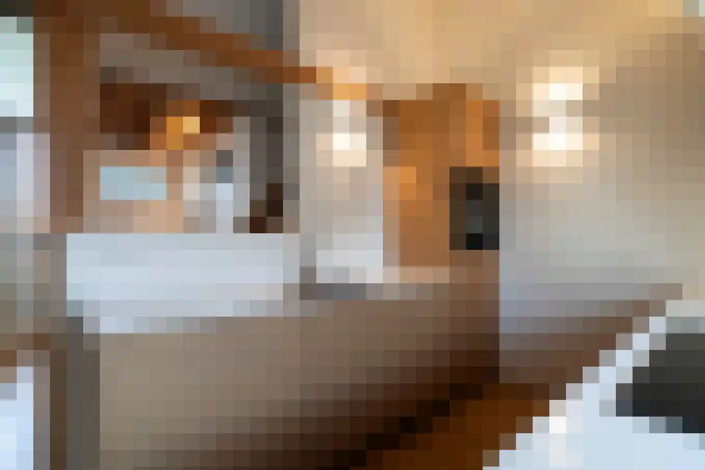 Tuinstraat 114 d Tilburg thumbnail 12
