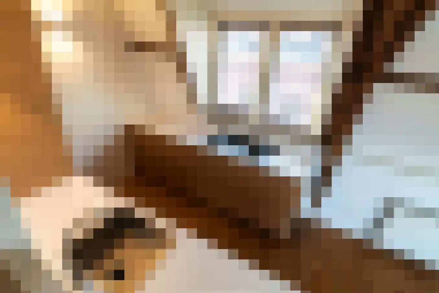 Tuinstraat 114 d Tilburg thumbnail 15