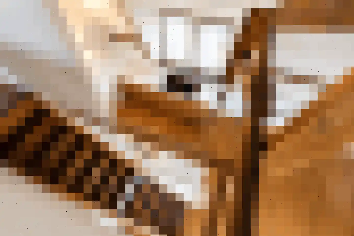Tuinstraat 114 d Tilburg thumbnail 19