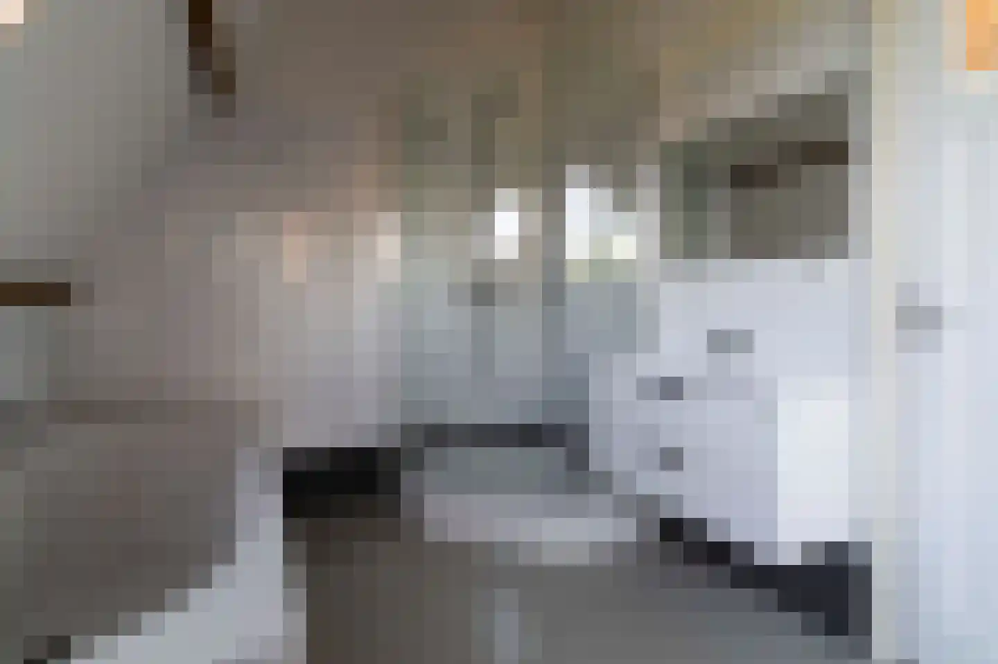 Tuinstraat 114 d Tilburg thumbnail 24