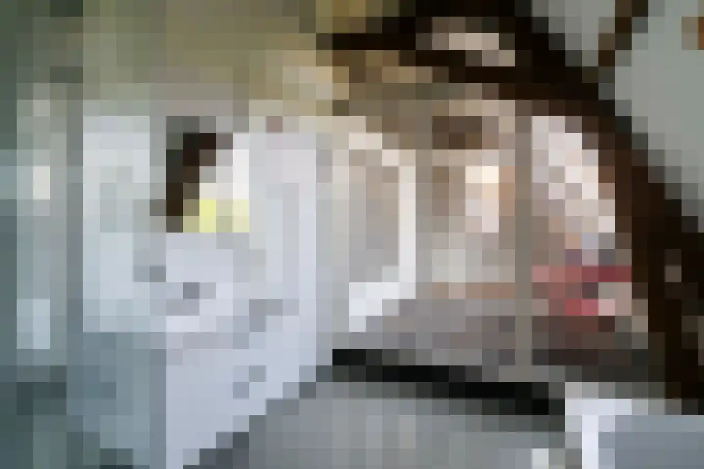 Tuinstraat 114 d Tilburg thumbnail 25