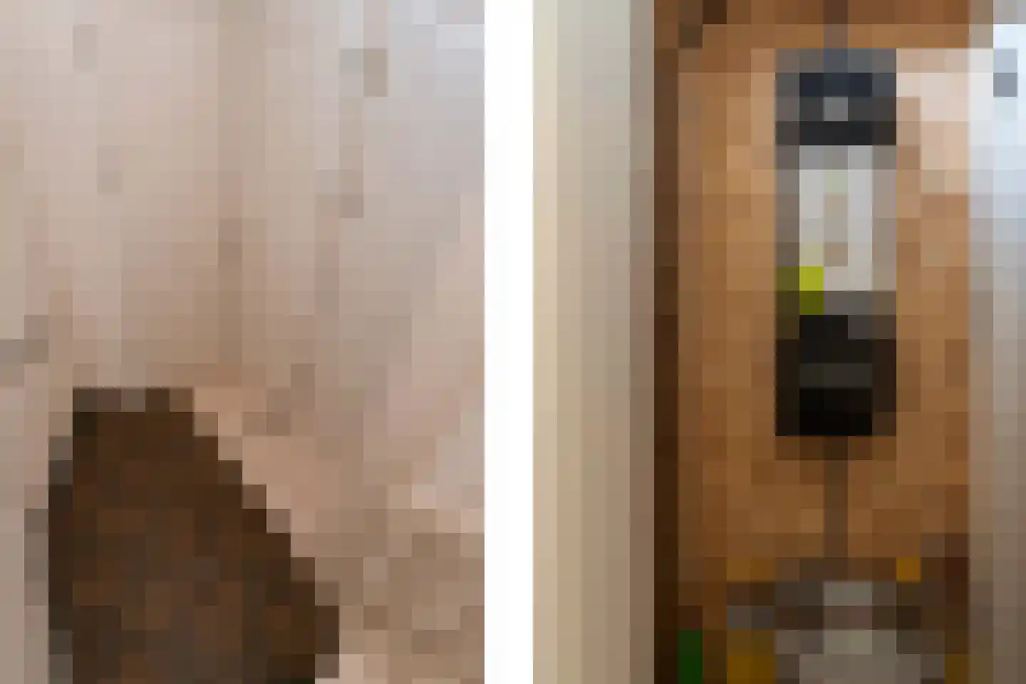 Tuinstraat 114 d Tilburg thumbnail 38