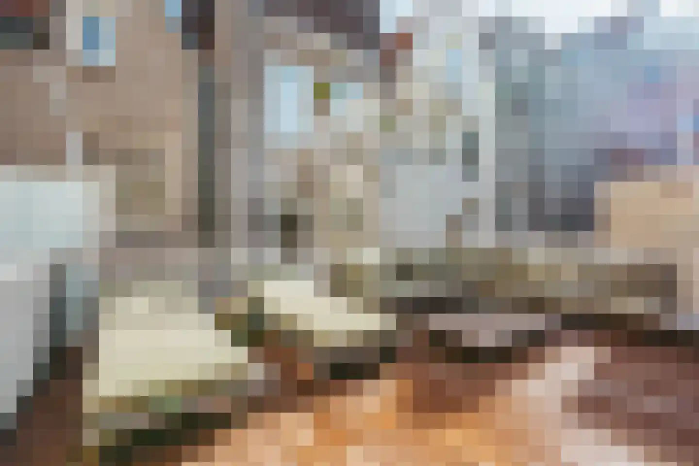 Tuinstraat 117 1 Amsterdam thumbnail 18
