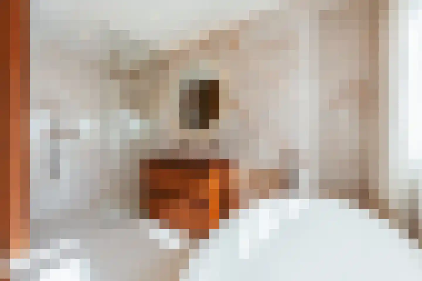 Tuinstraat 117 1 Amsterdam thumbnail 26