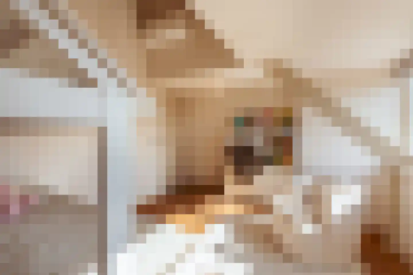 Tuinstraat 117 1 Amsterdam thumbnail 35